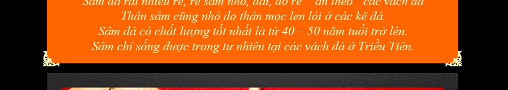 Nhân sâm núi đá thượng hạng Triều Tiên 1000 năm tuổi 