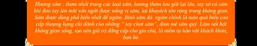 Nhân sâm núi đá thượng hạng Triều Tiên 1000 năm tuổi 