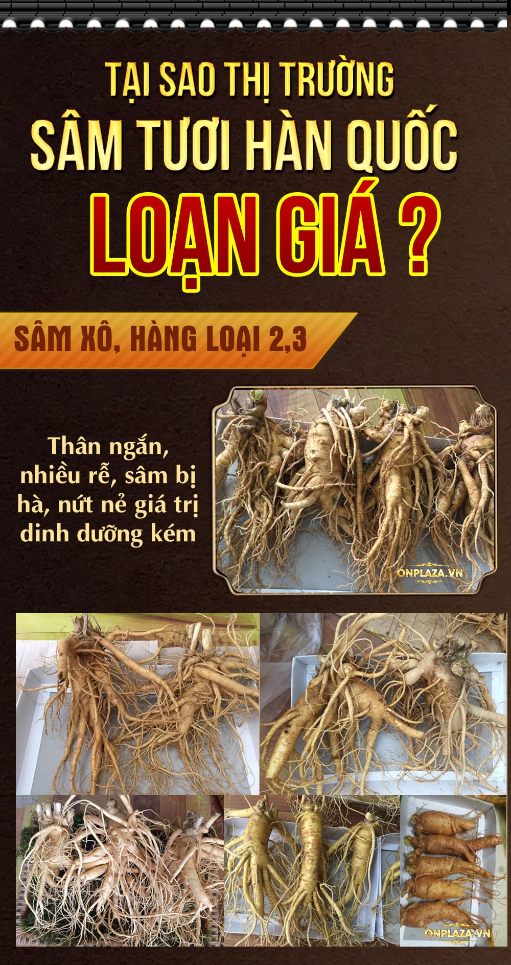 nhân sâm tươi Hàn Quốc