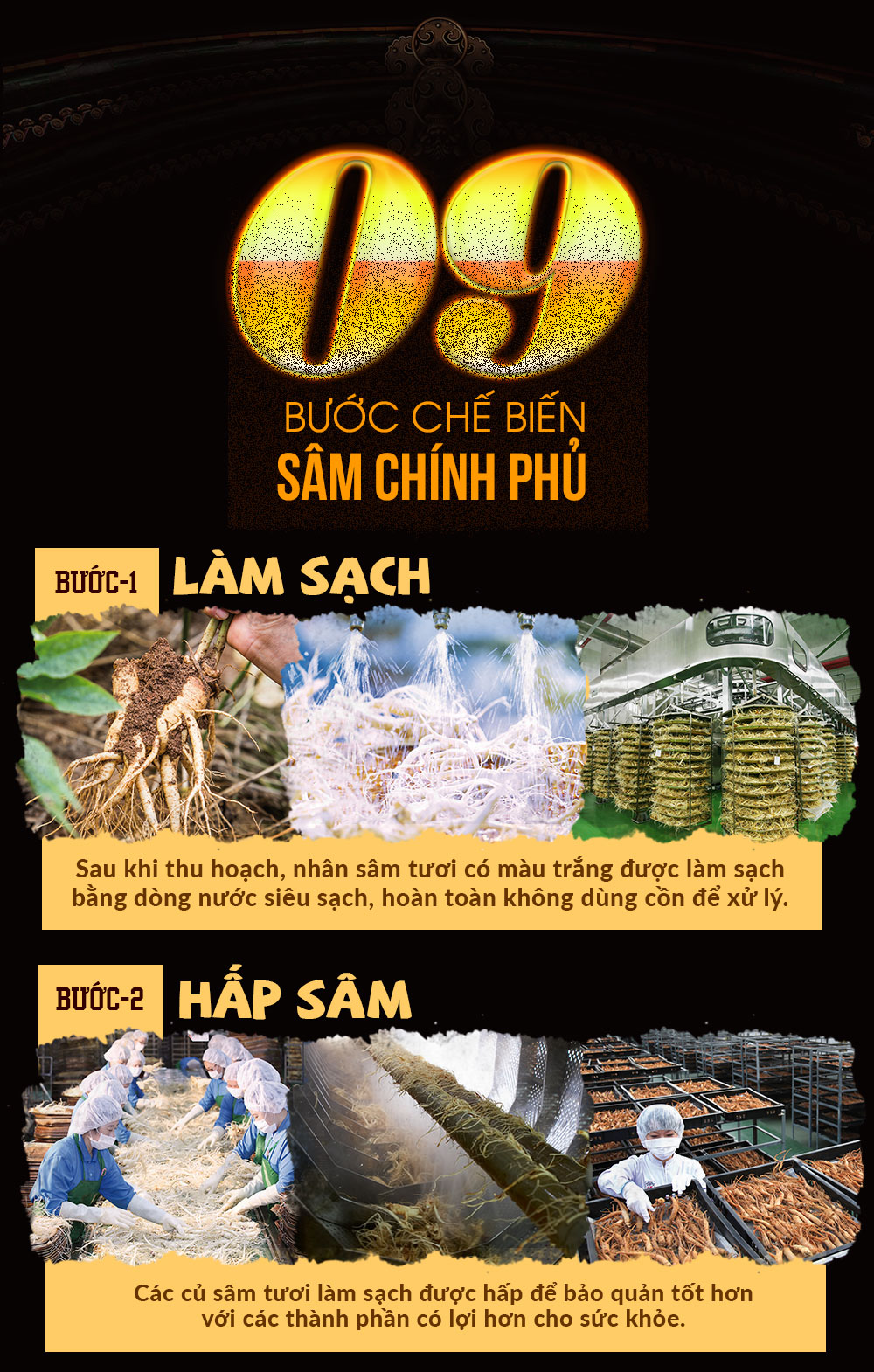 hồng sâm chính phủ tẩm mật ong