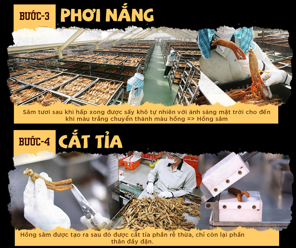 Nước Hồng Sâm Trẻ Em Chính Phủ KGC