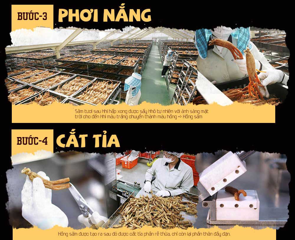 tinh chất hồng sâm chính phủ