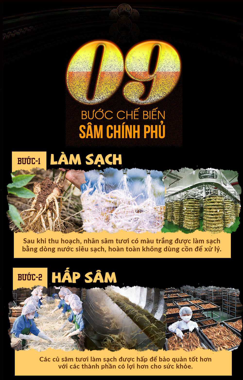 viên hông sâm chính phủ