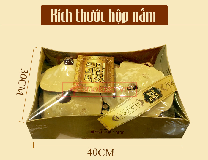 Nấm linh chi vàng thượng hạng Hộp quà biếu (1kg/ hộp)