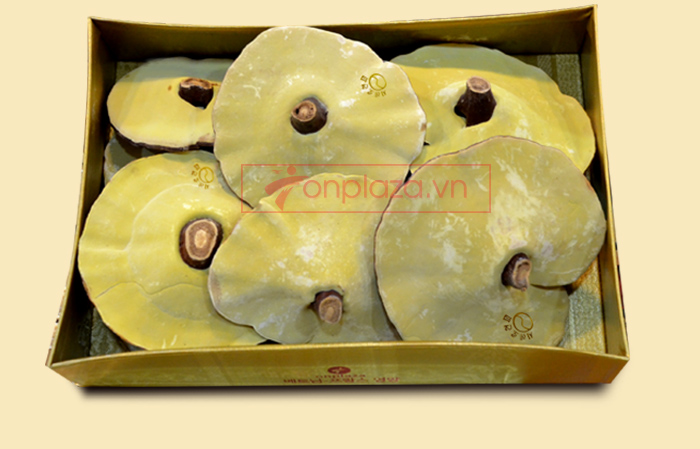 Nấm linh chi vàng thượng hạng Hộp quà biếu (1kg/ hộp)