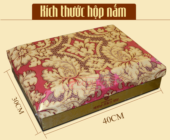 Nấm Linh Chi Thượng Hoàng loại thượng hạng hộp quà biếu (1kg/ hộp) L039