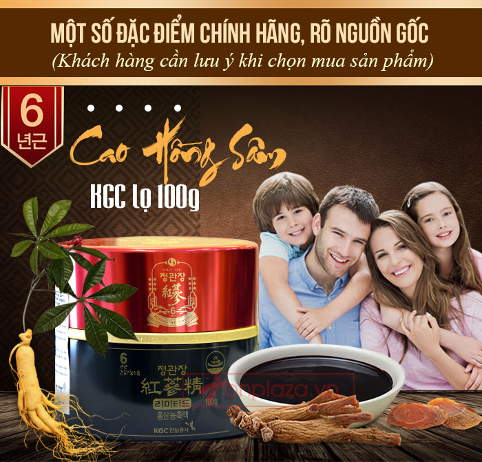 Cao hồng sâm cao cấp chính phủ KGC (Cheong Kwan Jang) lọ 100g NS449