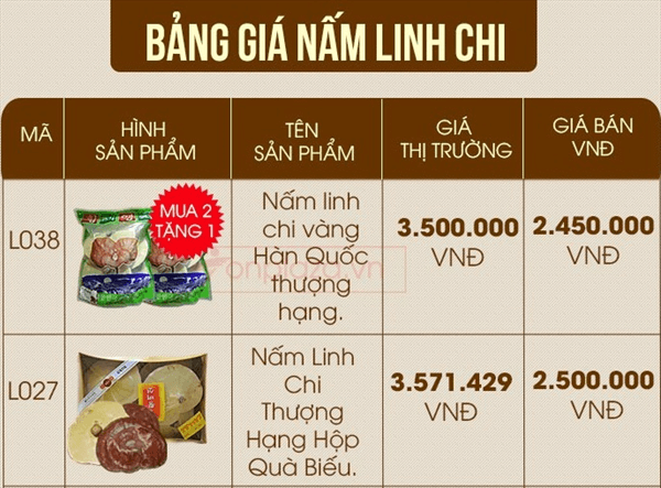 Nấm linh chi là gì? Thảo dược nấm linh chi có tác dụng gì?