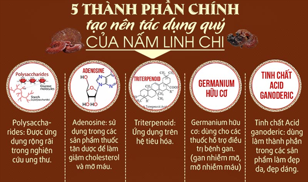 Công dụng của nấm linh chi Hàn Quốc là gì? Uống mỗi ngày có tốt không?