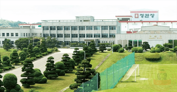 Nhà máy sản xuất Nhân Sâm Chính Phủ số 1 Hàn Quốc