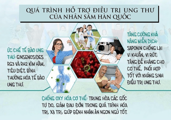 Tác dụng của sâm chính phủ đối với bệnh ung thư như thế nào?