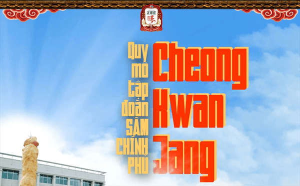Hồng sâm Chính phủ - Cheong Kwan Jang có tốt không? 