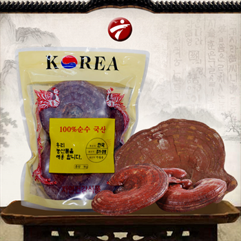 Nấm linh chi đỏ cao cấp Hàn Quốc loại 1kg, túi từ 3-6 tai L002